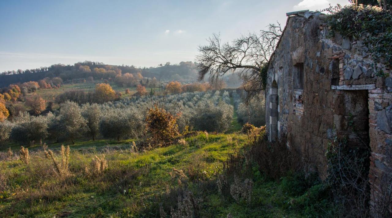 Villa Monteporzano Орвието Стая снимка